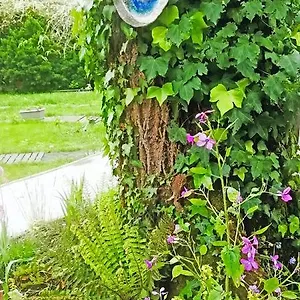 Mirguet Au Jardin Séjour chez l'habitant Saint-Elix-le-Chateau